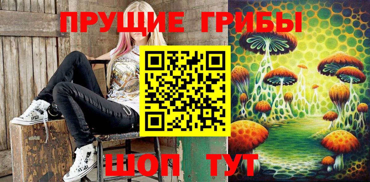 Псилоцибиновые грибы прущие грибы Можайск